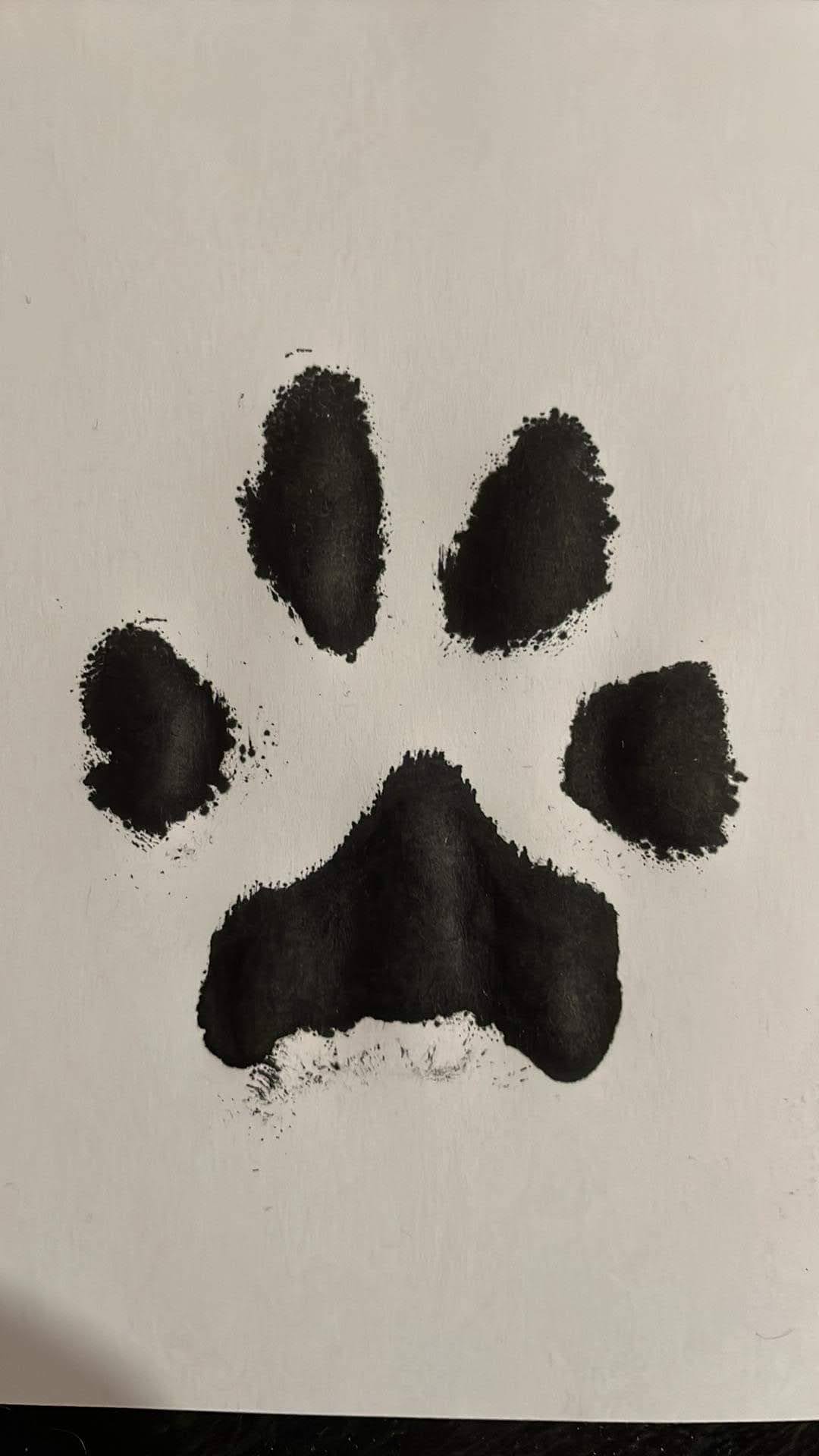 Paw print keepsake hoop embroidered at real-life size